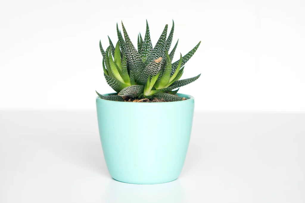 Smart Home Interface